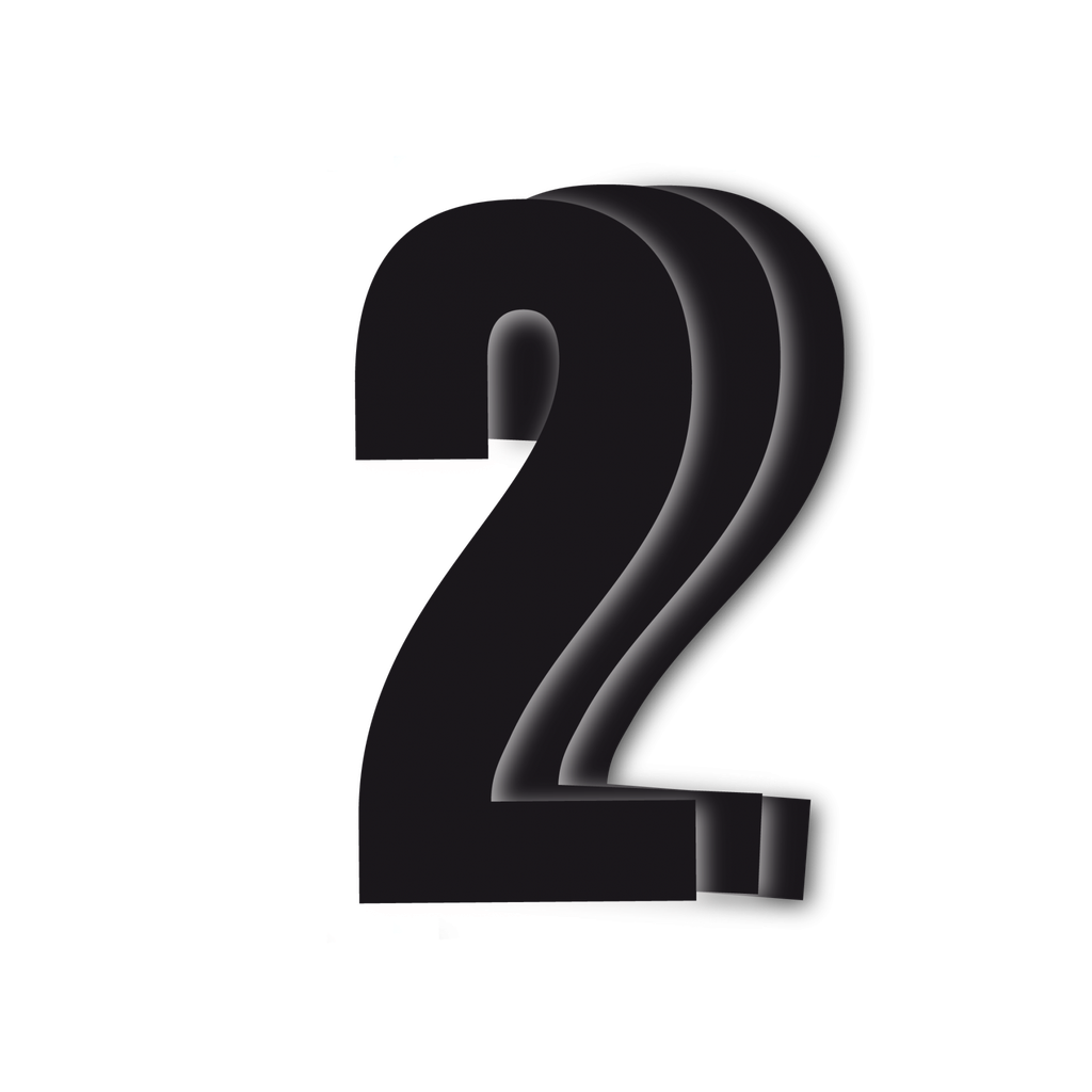 Blackbird Black Number 2