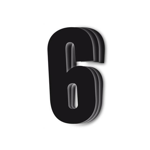 [5047/20/6 ] Blackbird Black Number 6