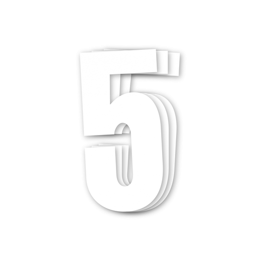 [05.10.5047] Blackbird White Number 5